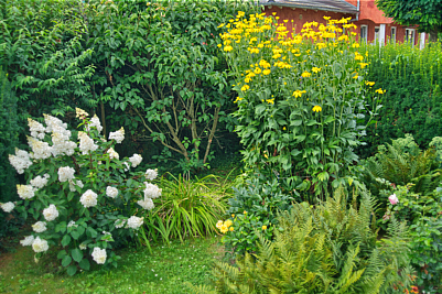 02_PIC04459-10-20k 02_PIC04459-10-20k